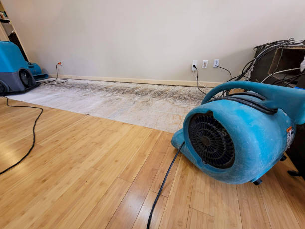 Professional Water Extraction technician working in Fielding, UT